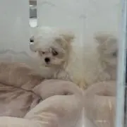 Reiの画像