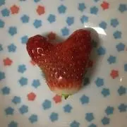 ノルウェージャンキャットの画像
