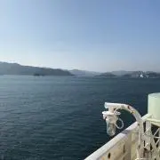 payちゃんの画像