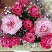 悠希さんの画像