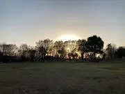 ヒダーリキキーの画像
