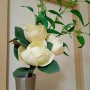 ＡＫＫＯの画像