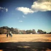 rainbowの画像