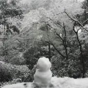 フォフィンヌ