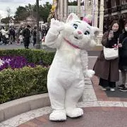 ゆき