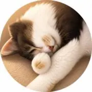 断捨離(プロフ確認願います)の画像