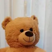 くーの画像