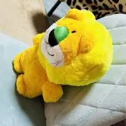 かつお節の画像