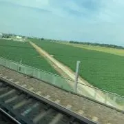 nanaの画像