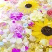 ちょす