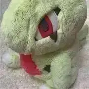 よーさんの画像