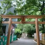 ゆうゆうの画像
