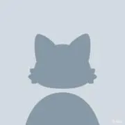 ねこの画像