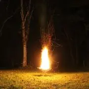 YASUの画像