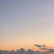 disniiiの画像