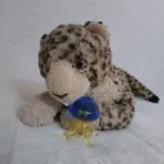 てんとう虫の画像