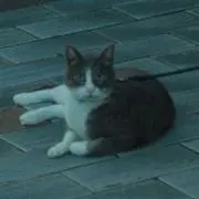 まるる//プロフ確認お願いします