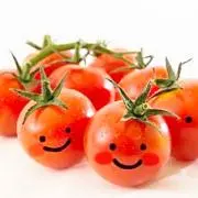 tomatoの画像