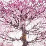 MIMIの画像