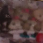 - ̗̀ ♡  ̖́-の画像