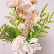 オウミの画像