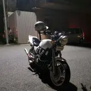 木木