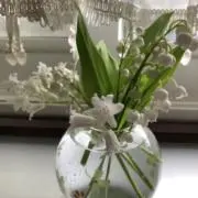 シューの画像