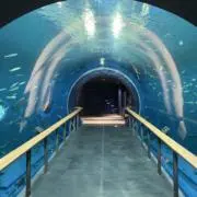 nakey07の画像