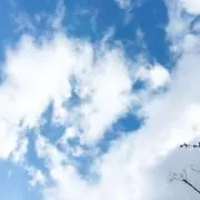 おかちゃんの画像