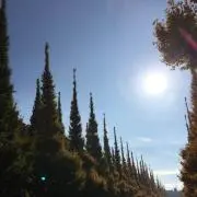 m-mの画像