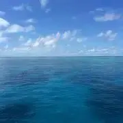 miの画像