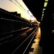 のの画像