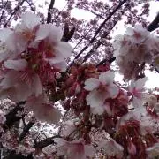 まる　匿名配送可　プロフご一読の画像