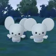 Minhaさんの画像