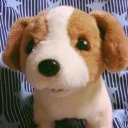 よしりん