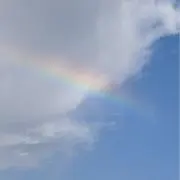 mi-