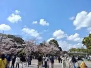 尚の画像