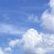 みこ（プロフィールご覧ください）の画像