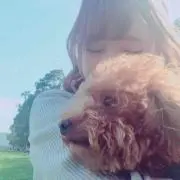 はんぺんの画像