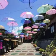 ＊Hinari＊の画像
