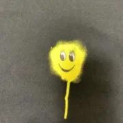 Mabooの画像