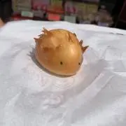 もぐ