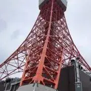 たるたの画像