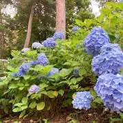 mosu⭐️の画像