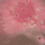 you ⭐️値下げ中⭐️の画像