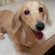 あーちゃん❤プロフ必読❤