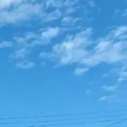 青空一番の画像