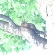 まっきー◼︎プロフ必読の画像