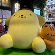 ぽむぽむの画像