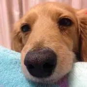 MFKプロフ必読